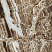 Керамогранит Onyx 120x60, коричневый, глянцевый OC0000055 120x60 Глянцевый High Glossy Коричневый