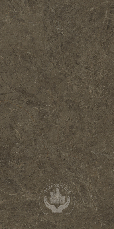 Керамогранит Neapol brown 60х120х0.9 PT12F7039 120x60 Матовая 
