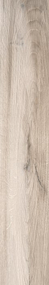 Керамогранит Текстура леса Forest texture 20x120x0.9 VZR12020AGG 20x120 Глазурованный Матовый 