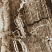 Керамогранит Onyx 120x60, коричневый, глянцевый OC0000055 120x60 Глянцевый High Glossy Коричневый