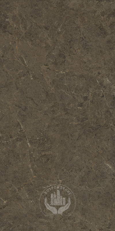 Керамогранит Neapol brown 60х120х0.9 PT12F7039 120x60 Матовая 
