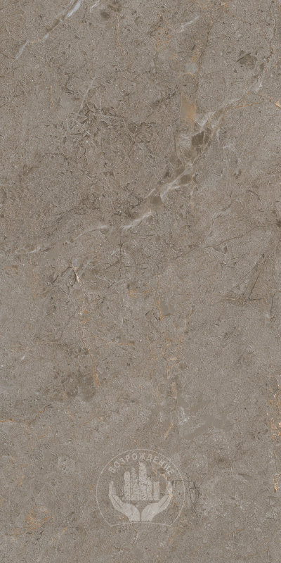 Керамогранит Verona 60х120х0.9 PT12J7051 120x60 Матовая Карвинг 