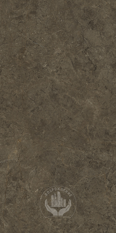 Керамогранит Neapol brown 60х120х0.9 PT12F7039 120x60 Матовая 