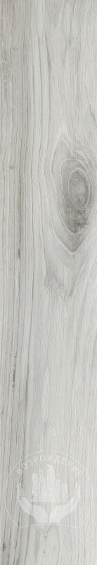 Керамогранит Вечная древесина Eternal wood 20x120x0.9 VZR12020AGR 20x120 Глазурованный Матовый 