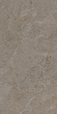 Керамогранит Verona 60х120х0.9 PT12J7051 120x60 Матовая Карвинг 